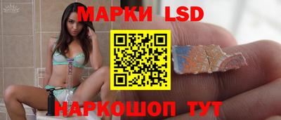 индика Можга