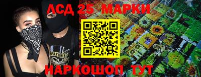 индика Можга