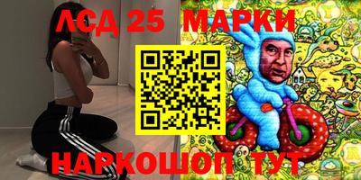 сатива Моздок