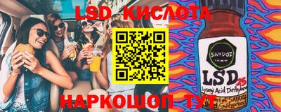 индика Можга