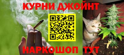 сатива Моздок