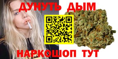 индика Можга
