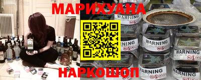 индика Можга