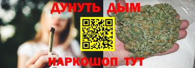 сатива Моздок