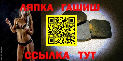 индика Можга