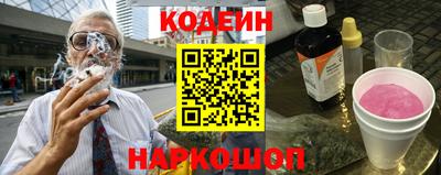 индика Можга